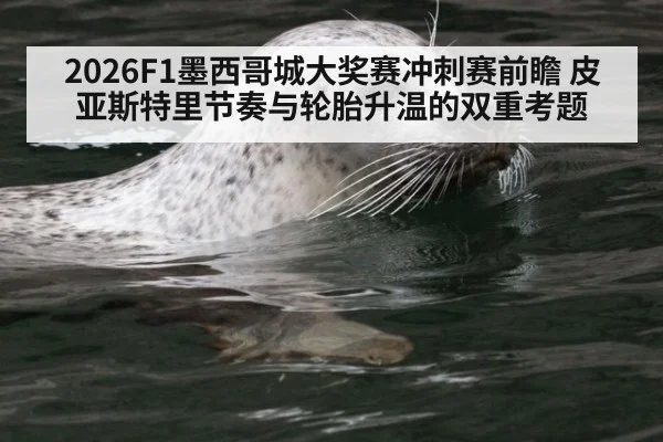 2026F1墨西哥城大奖赛冲刺赛前瞻 皮亚斯特里节奏与轮胎升温的双重考题